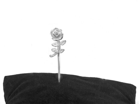 Agulla rosa plata